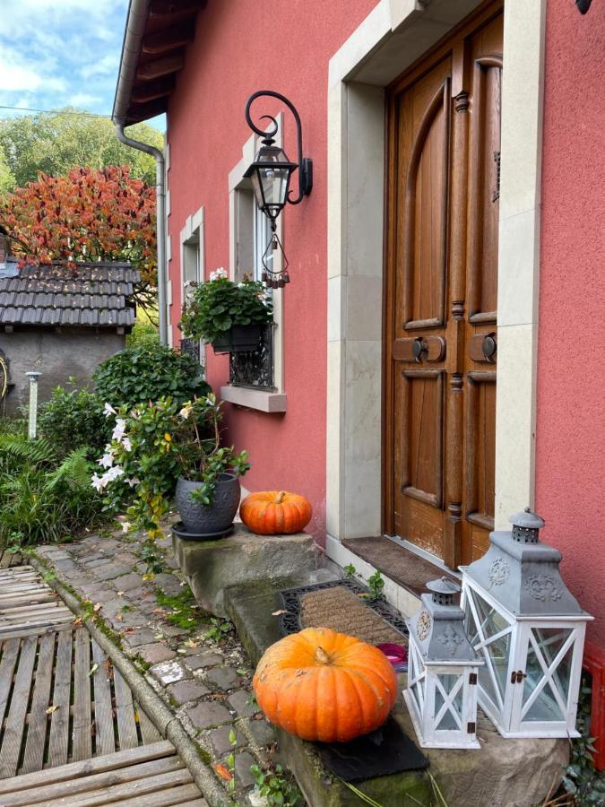 Logis Hotel Domaine Du Moulin Saint-Avold Exteriör bild